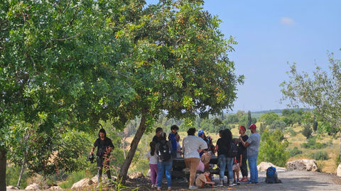אנשים עומדים בצל