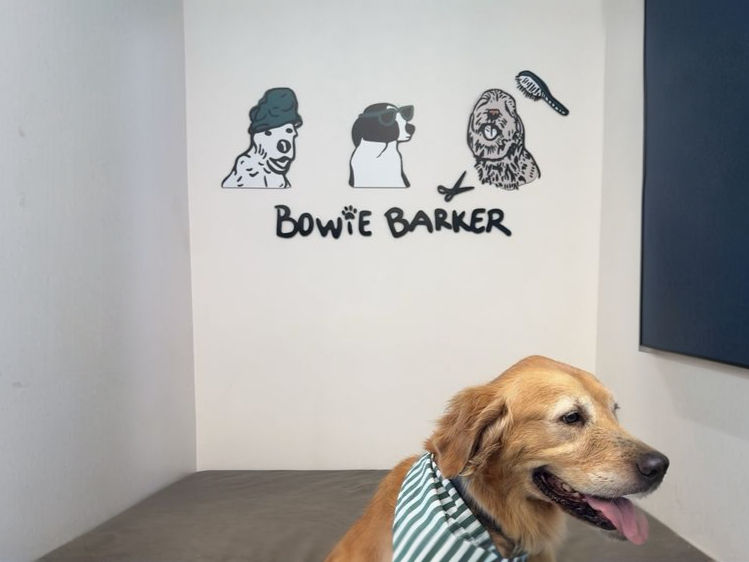 Thumbnail: Bowie Barker