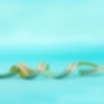 tiffany blue body measurments fitness faded background.jpg