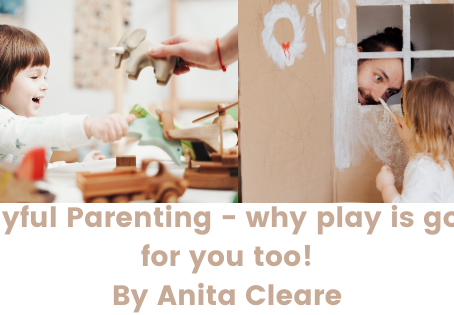 Playful Parenting by Anita Cleare