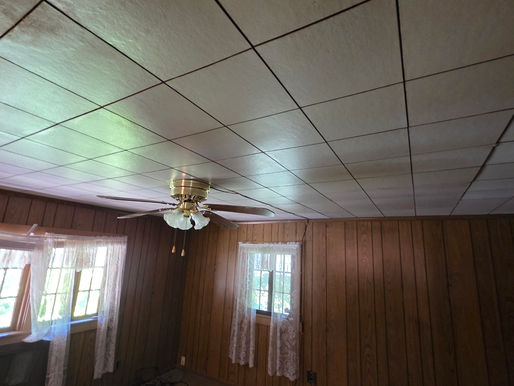 Ceiling with Likely Asbestos