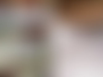 Encapsulating Your Crawl Space: How Professionals Solve the Hidden Nightmares Beneath Your Home