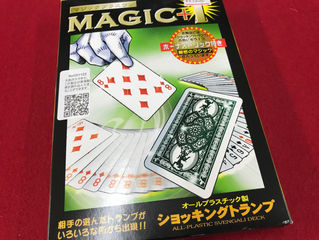 本日の一品