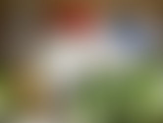 サコーさんの解説DVD制作中