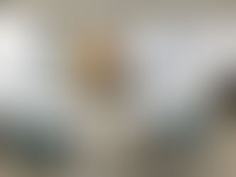 TNC西日本文化サークル