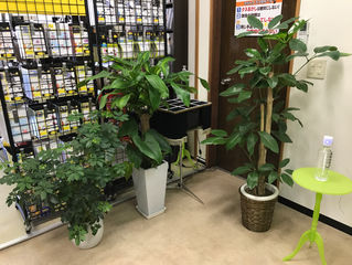 おはようございます!