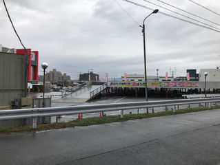 明日は