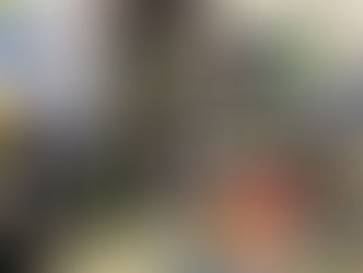 11時35分からオープン