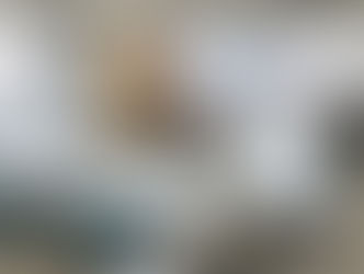 TNC西日本文化サークル