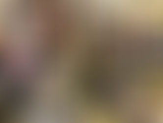 やっと方向性が