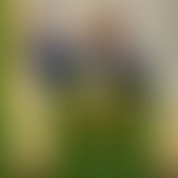 GENTLENESS AND GREATNESS