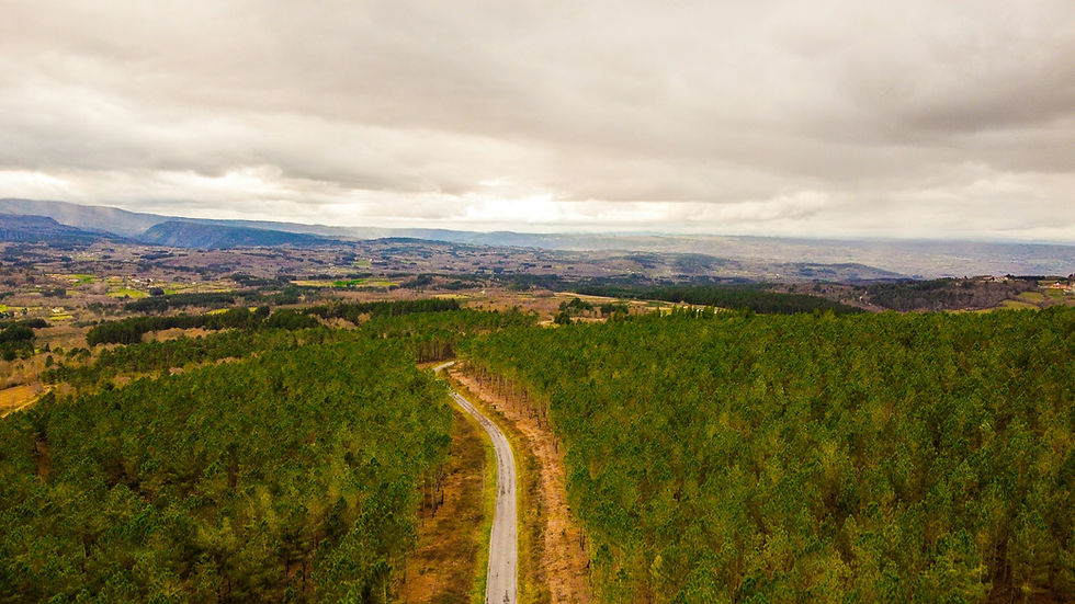 What is Viant Lipoxeny ?