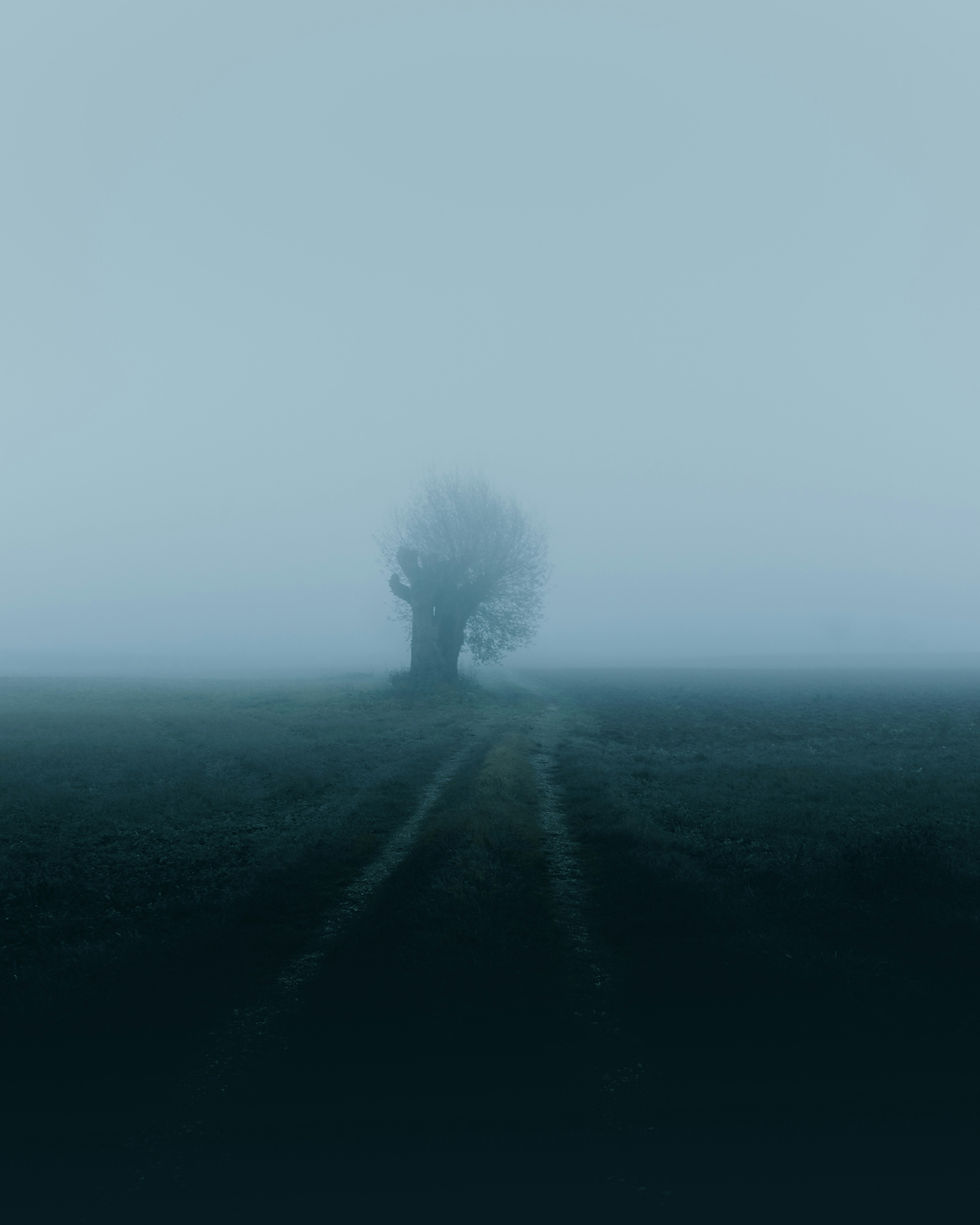 What is intrusive polynomial absentia?