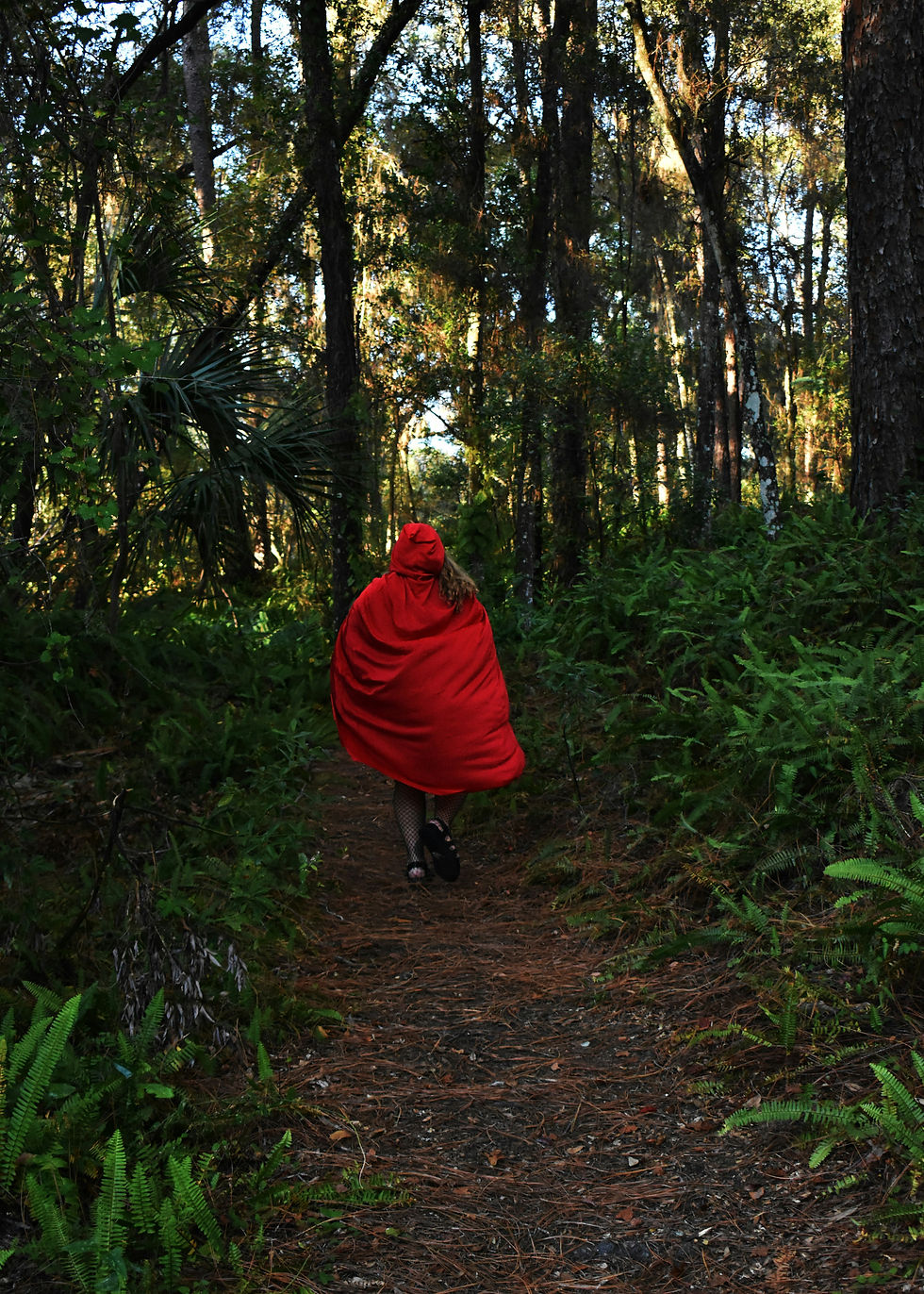 What is theme? photo credit: Chelsey Marques. A girl in a red hooded cloak walking through a dark wood