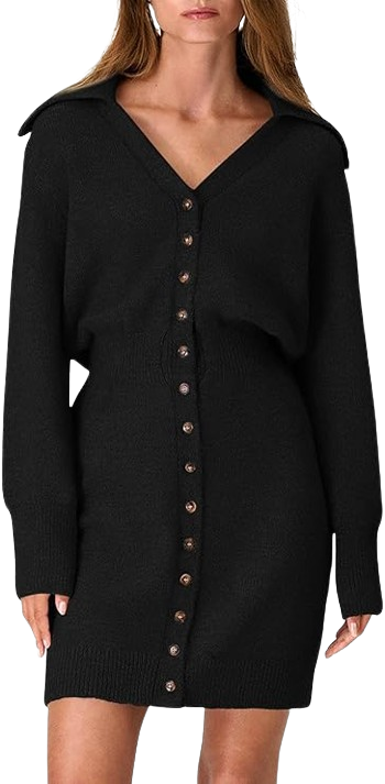 PRETTYGARDEN Womens Fall Sweater