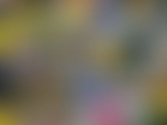 ティラノサウルスレースに出場🦕