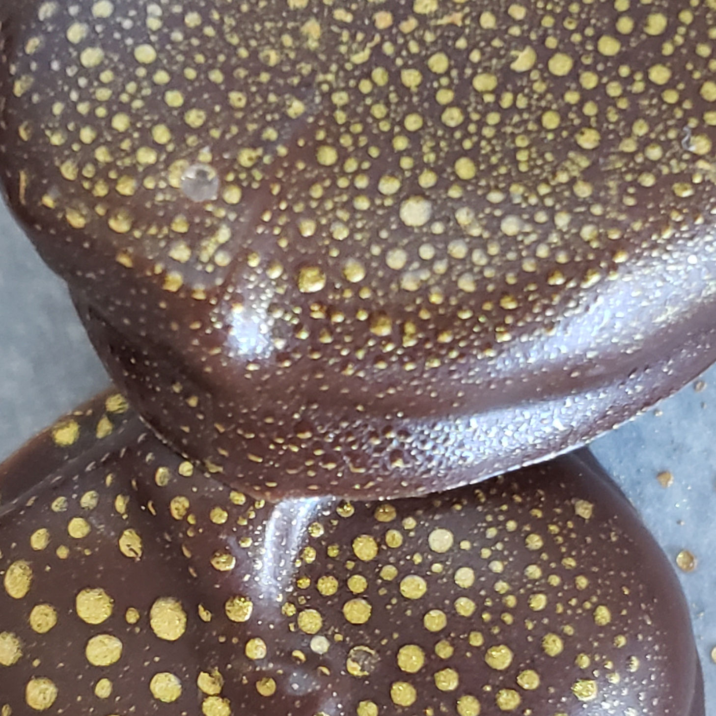 Chocolate Covered Turkish Apricot