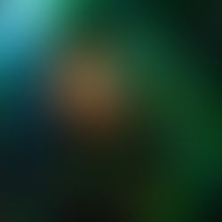  Crítica de "Ideas Are Bulletproof"