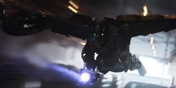 Vulture wings