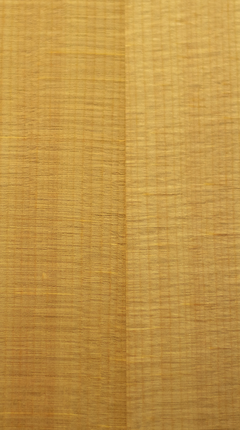 Thumbnail: Westfield WF-400-NTCE Acoustic Guitar