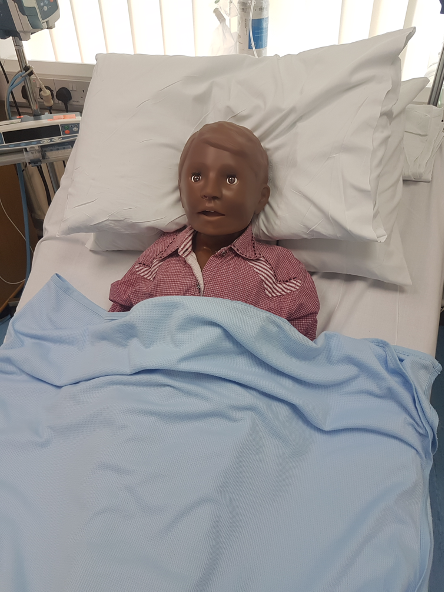 Simulation & Clinical Skills - Facilities | Medical Education at Medway
