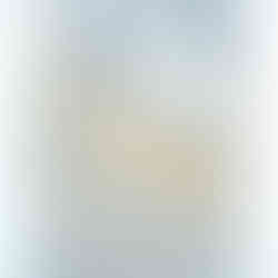 layer 2