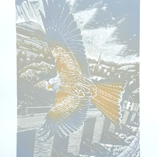 layer 2