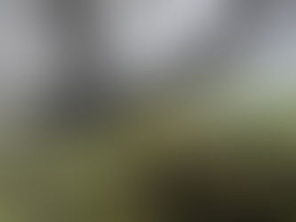 Misty sunshine from Crickhowell bridge