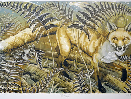 Vulpecula