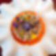 18072030304971035_edited.jpg