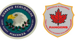 PROGRAMMA CORSO di FORMAZIONE 2019 (GEV PIACENZA)