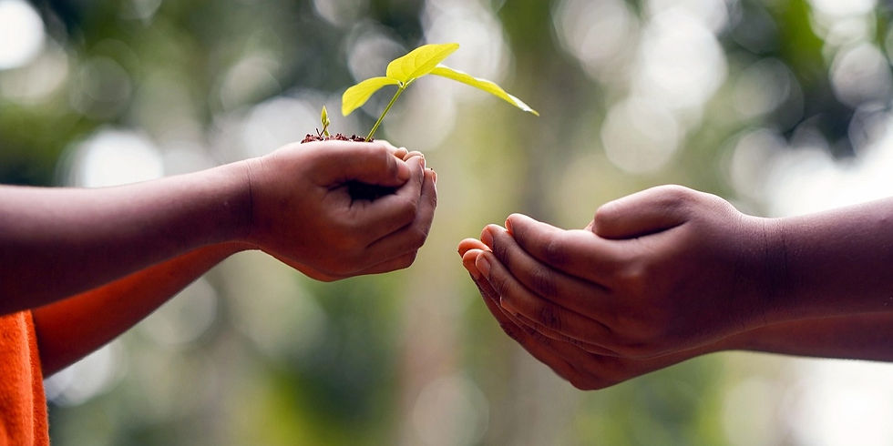 Des mains tendant une jeune pousse de plante à d’autres mains, symbole de retour à la conscience et de renouveau.