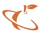 apple logo orange.jpg