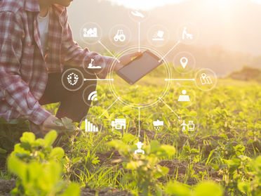 Data Management Made Easy For the Farmer