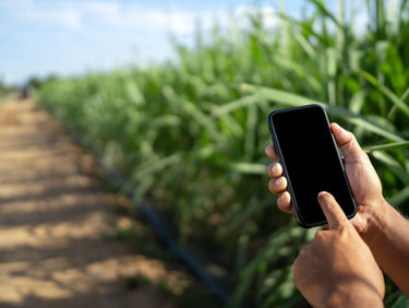 Ep. 35: Market Research in Agriculture with Colson Steber