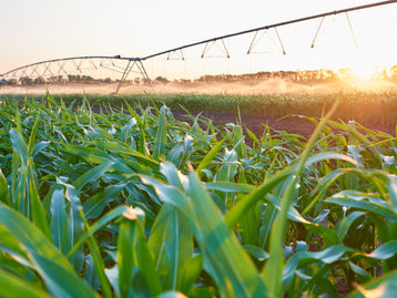 Podcast: 09. Nicholaus Benson - Investigating Irrigation
