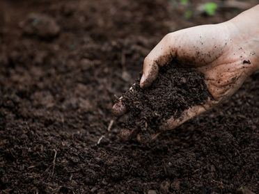 $4M Paid to Farmers for Carbon Credits: What Truterra Says About Year One in the Carbon Market