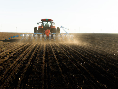 Ep. 24: Breaking Down Variable Rate Seeding with Morgan Seger