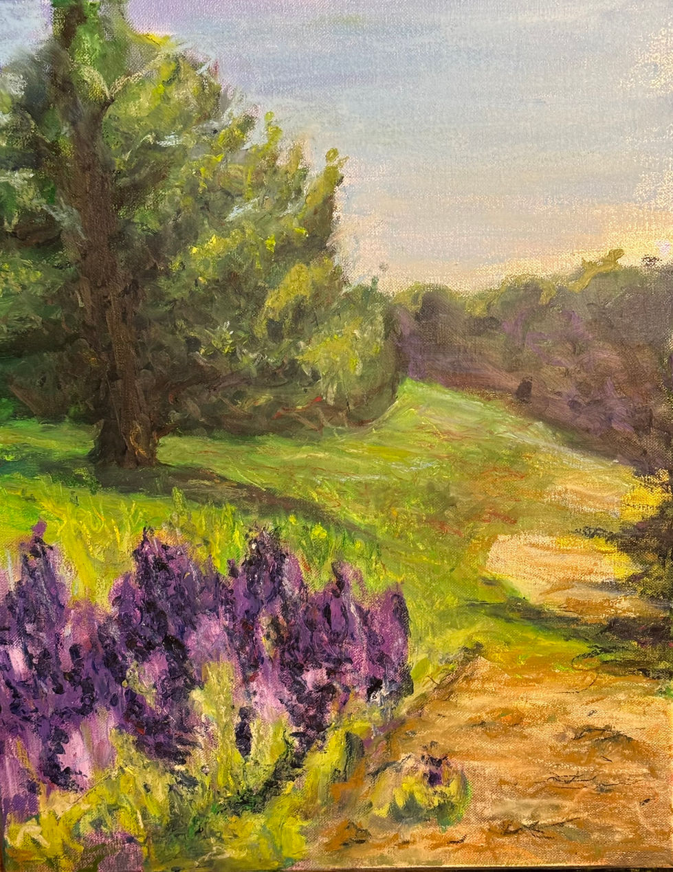 Path with Lupine Light