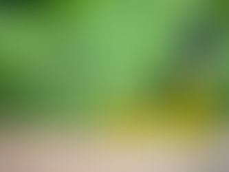 Women's Health: How CBD Oil Can Address Specific Concerns