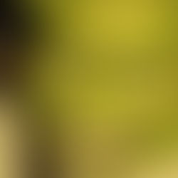 that time I traumatized my roommate with Shrek memes