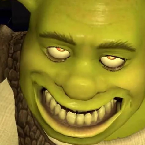 that time I traumatized my roommate with Shrek memes