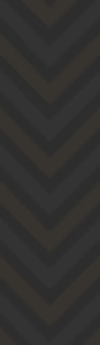 background-newwebsite-1.jpg