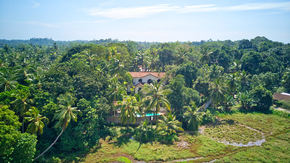 DJI_0041_Edited.jpeg