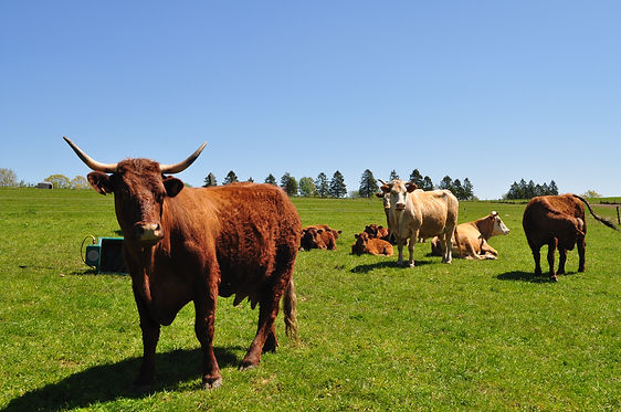 Ferme des Crutins - Rencontre producteurs (94).JPG