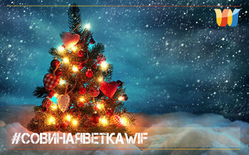 #СОВинаяВЕТкаWIF НОВОГОДНИЕ ЛАЙФХАКИ от Александра Колесникова