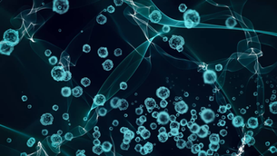 日本人が重症型エムポックス発症─新ワクチン開発を巡る疑惑の闇