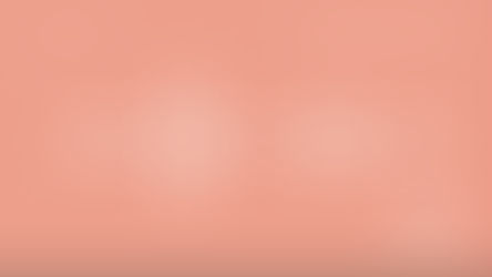 Feel calmer: a bumblebee meditation