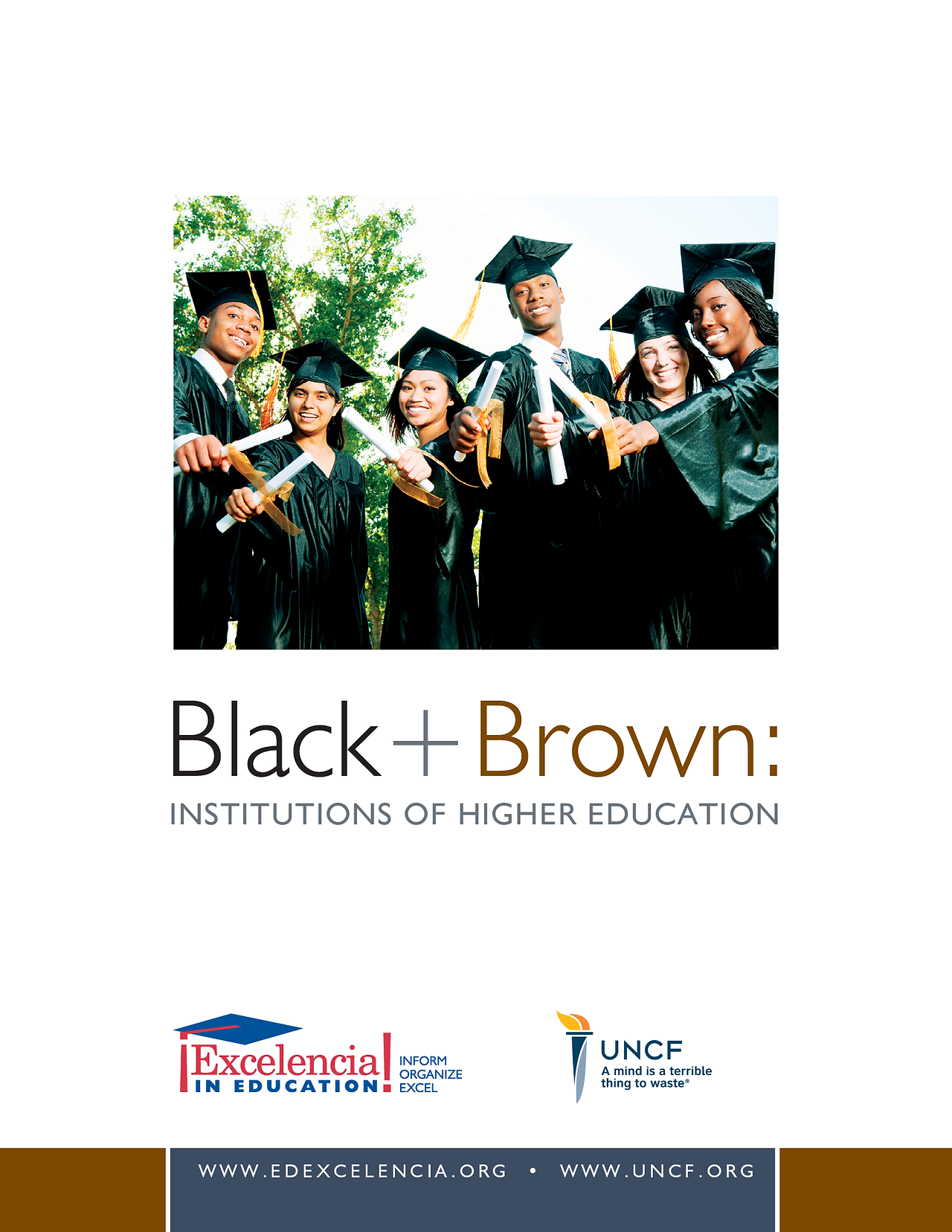 Black+Brown: Institutions of Higher Education