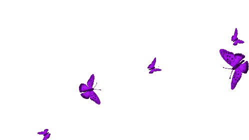 8d749d_763041b8037640d3ad353eca85996ff8~mv2.gif